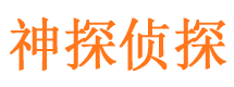 安国市调查公司